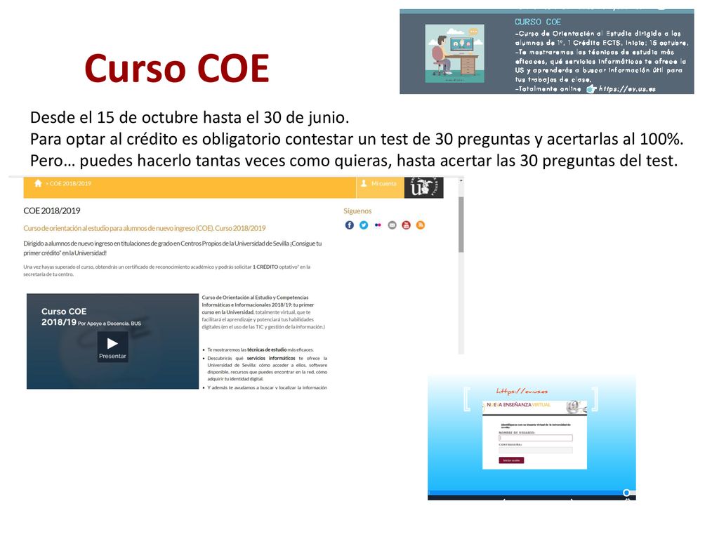 Curso COE Desde el 15 de octubre hasta el 30 de junio.