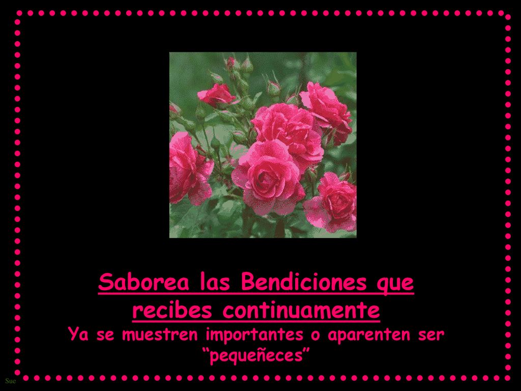 Saborea las Bendiciones que recibes continuamente Ya se muestren importantes o aparenten ser pequeñeces