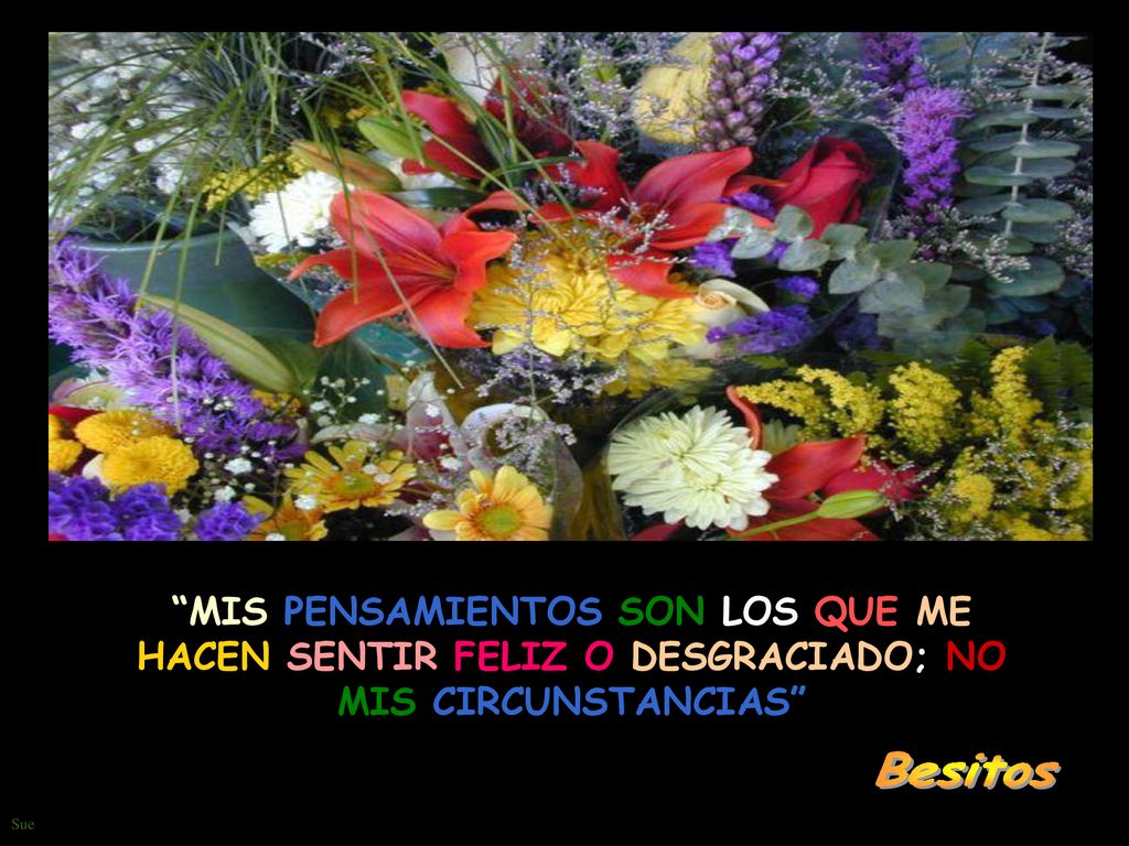 MIS PENSAMIENTOS SON LOS QUE ME HACEN SENTIR FELIZ O DESGRACIADO; NO MIS CIRCUNSTANCIAS