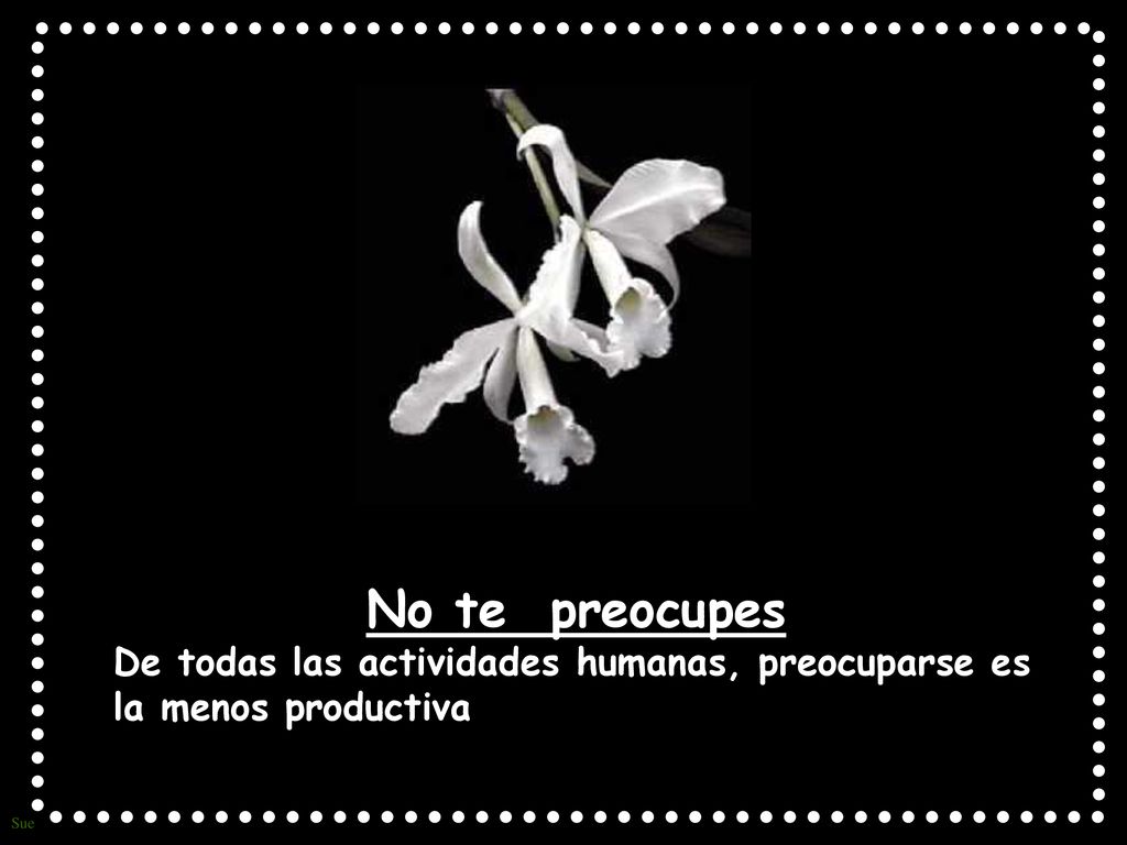 No te preocupes De todas las actividades humanas, preocuparse es la menos productiva