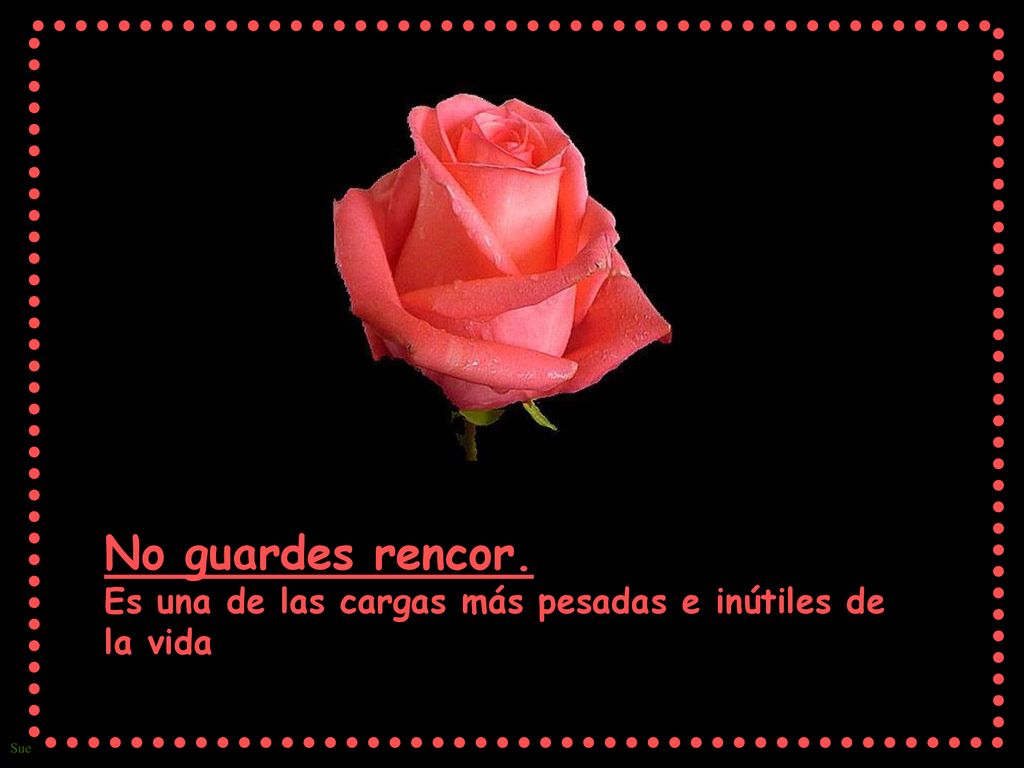 No guardes rencor. Es una de las cargas más pesadas e inútiles de la vida