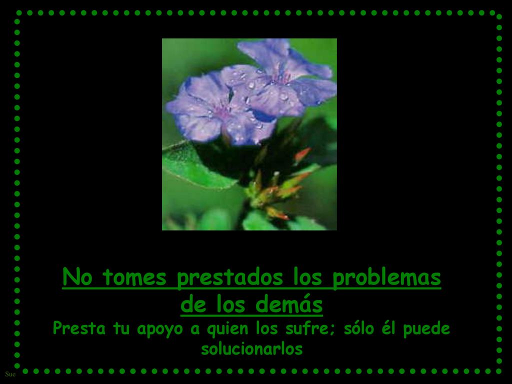No tomes prestados los problemas de los demás Presta tu apoyo a quien los sufre; sólo él puede solucionarlos