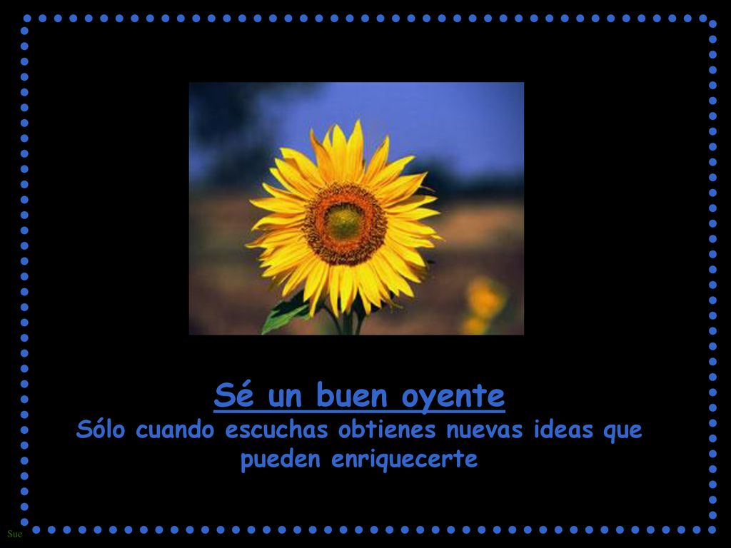 Sé un buen oyente Sólo cuando escuchas obtienes nuevas ideas que pueden enriquecerte