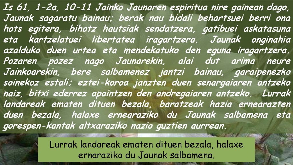 Is 61, 1-2a, Jainko Jaunaren espiritua nire gainean dago, Jaunak sagaratu bainau; berak nau bidali behartsuei berri ona hots egitera, bihotz hautsiak sendatzera, gatibuei askatasuna eta kartzelatuei libertatea iragartzera. Jaunak onginahia azalduko duen urtea eta mendekatuko den eguna iragartzera. Pozaren pozez nago Jaunarekin, alai dut arima neure Jainkoarekin, bere salbamenez jantzi bainau, garaipenezko soinekoz estali; eztei-koroa janzten duen senargaiaren antzeko naiz, bitxi ederrez apaintzen den andregaiaren antzeko. Lurrak landareak ematen dituen bezala, baratzeak hazia ernearazten duen bezala, halaxe ernearaziko du Jaunak salbamena eta gorespen-kantak altxaraziko nazio guztien aurrean.