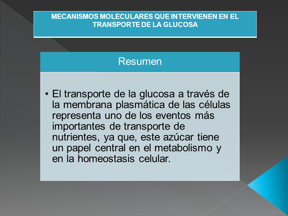 MECANISMOS MOLECULARES QUE INTERVIENEN EN EL TRANSPORTE DE LA GLUCOSA
