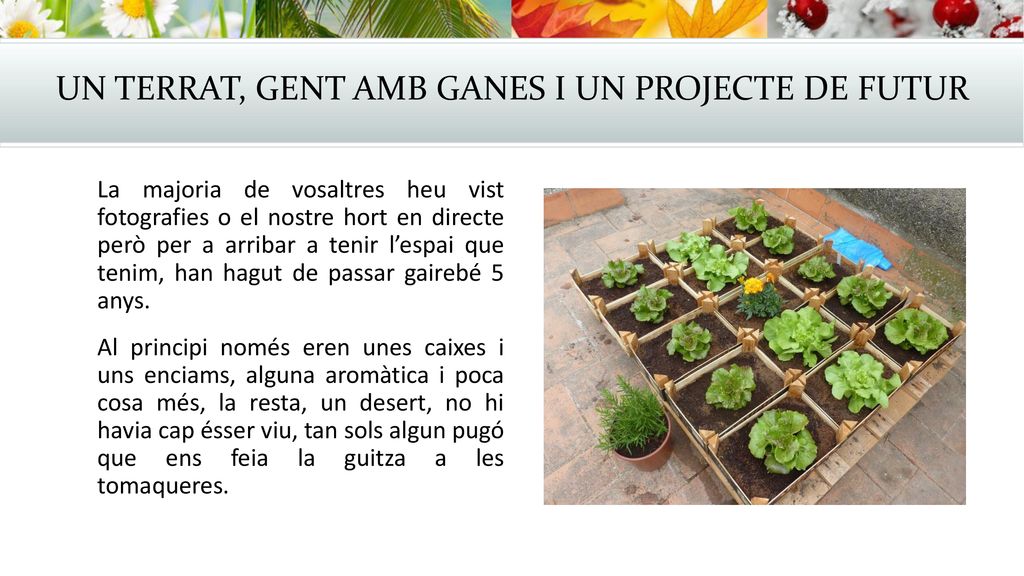 UN TERRAT, GENT AMB GANES I UN PROJECTE DE FUTUR