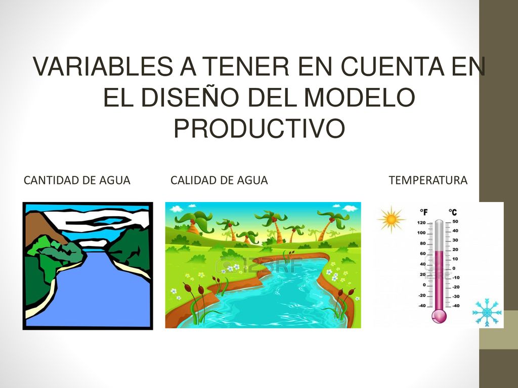 VARIABLES A TENER EN CUENTA EN EL DISEÑO DEL MODELO PRODUCTIVO