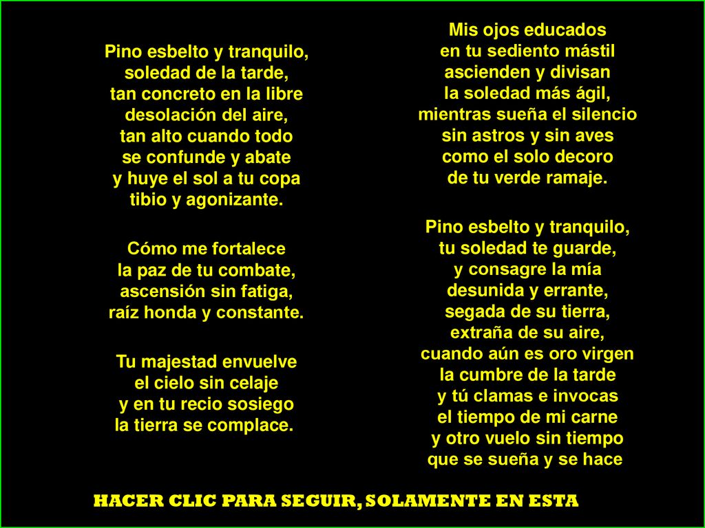 Mis ojos educados en tu sediento mástil ascienden y divisan la soledad más ágil, mientras sueña el silencio sin astros y sin aves como el solo decoro de tu verde ramaje. Pino esbelto y tranquilo, tu soledad te guarde, y consagre la mía desunida y errante, segada de su tierra, extraña de su aire, cuando aún es oro virgen la cumbre de la tarde y tú clamas e invocas el tiempo de mi carne y otro vuelo sin tiempo que se sueña y se hace