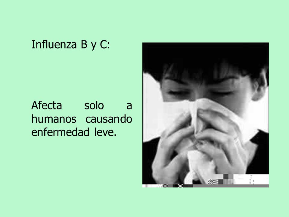 Influenza B y C: Afecta solo a humanos causando enfermedad leve.