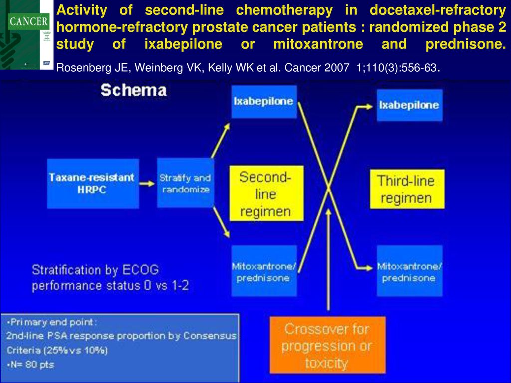 Activity of second-line chemotherapy in docetaxel-refractory hormone-refractory prostate cancer patients : randomized phase 2 study of ixabepilone or mitoxantrone and prednisone.