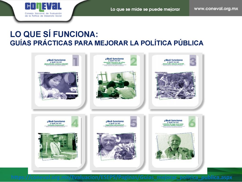 LO QUE SÍ FUNCIONA: GUÍAS PRÁCTICAS PARA MEJORAR LA POLÍTICA PÚBLICA