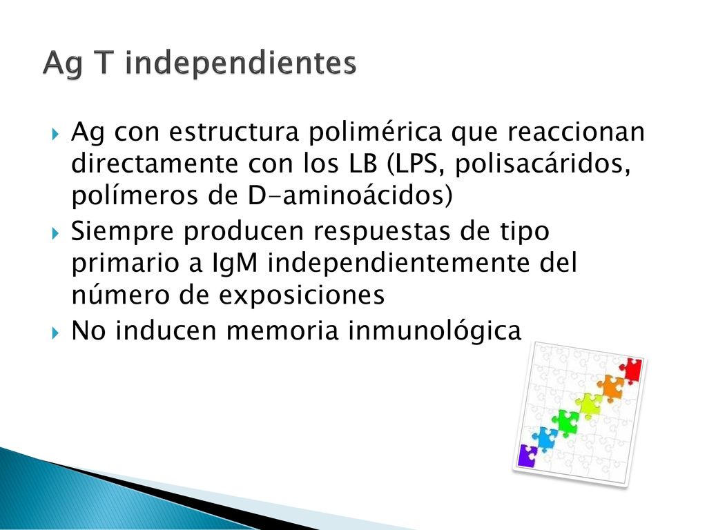Ag T independientes Ag con estructura polimérica que reaccionan directamente con los LB (LPS, polisacáridos, polímeros de D-aminoácidos)