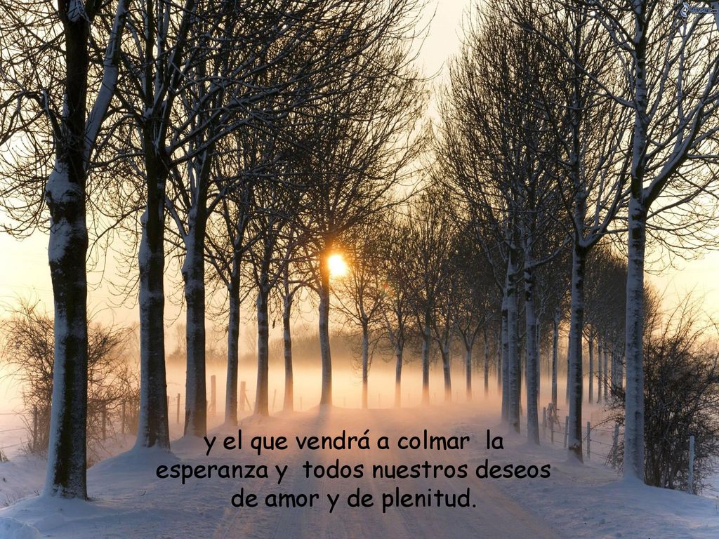 y el que vendrá a colmar la esperanza y todos nuestros deseos de amor y de plenitud.