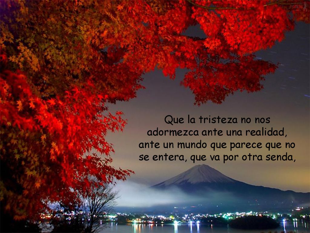 Que la tristeza no nos adormezca ante una realidad, ante un mundo que parece que no se entera, que va por otra senda,
