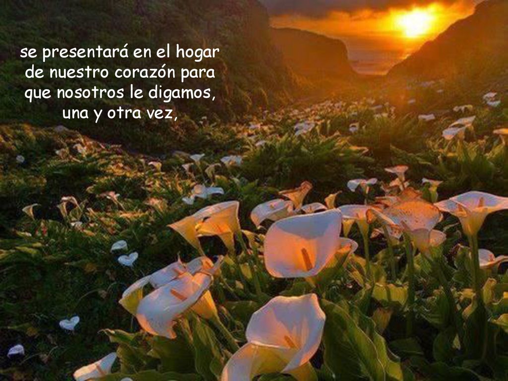 se presentará en el hogar de nuestro corazón para que nosotros le digamos, una y otra vez,