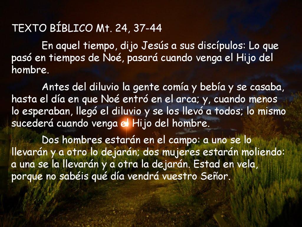 TEXTO BÍBLICO Mt. 24, En aquel tiempo, dijo Jesús a sus discípulos: Lo que pasó en tiempos de Noé, pasará cuando venga el Hijo del hombre.