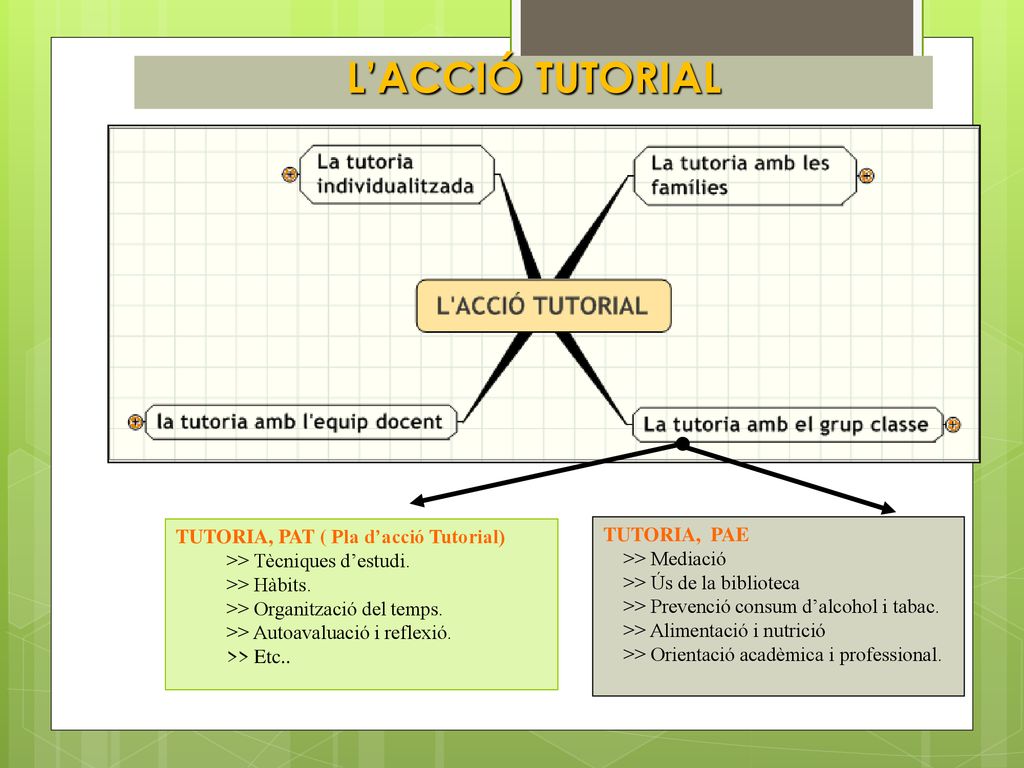 L’ACCIÓ TUTORIAL TUTORIA, PAT ( Pla d’acció Tutorial) TUTORIA, PAE