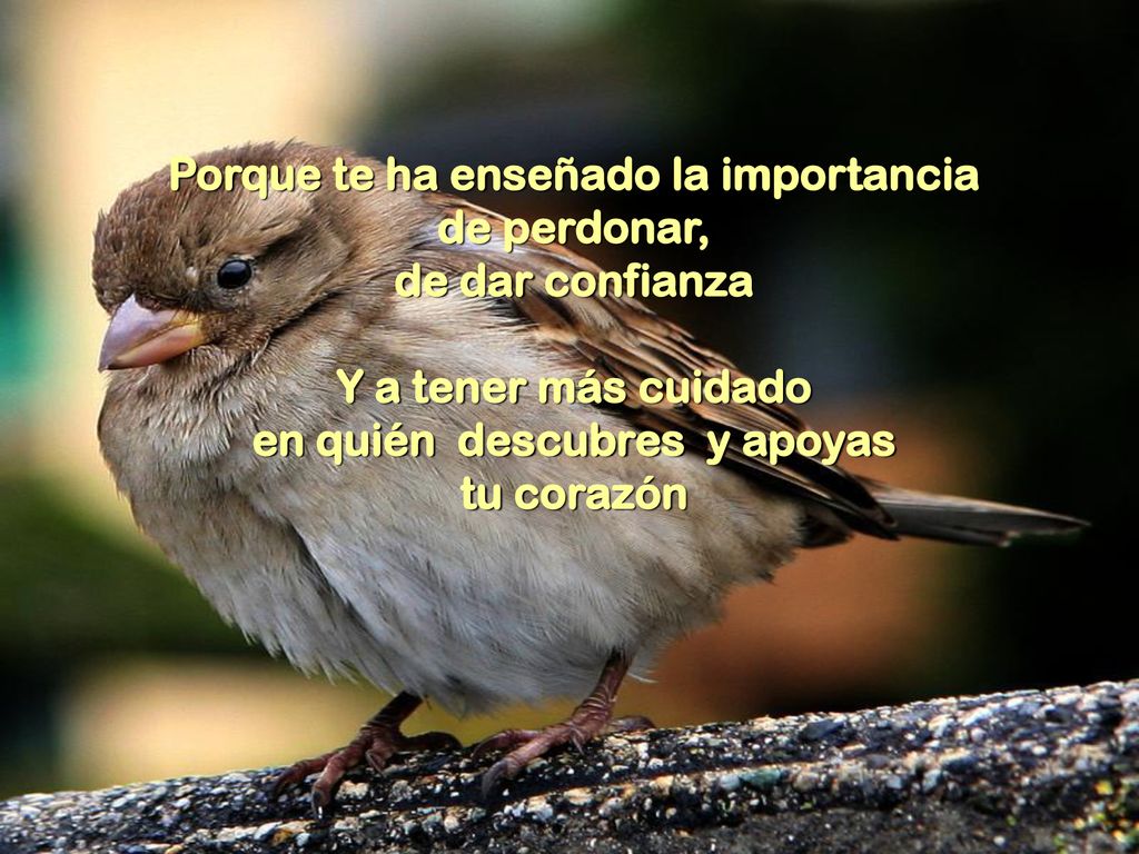 Porque te ha enseñado la importancia de perdonar, de dar confianza