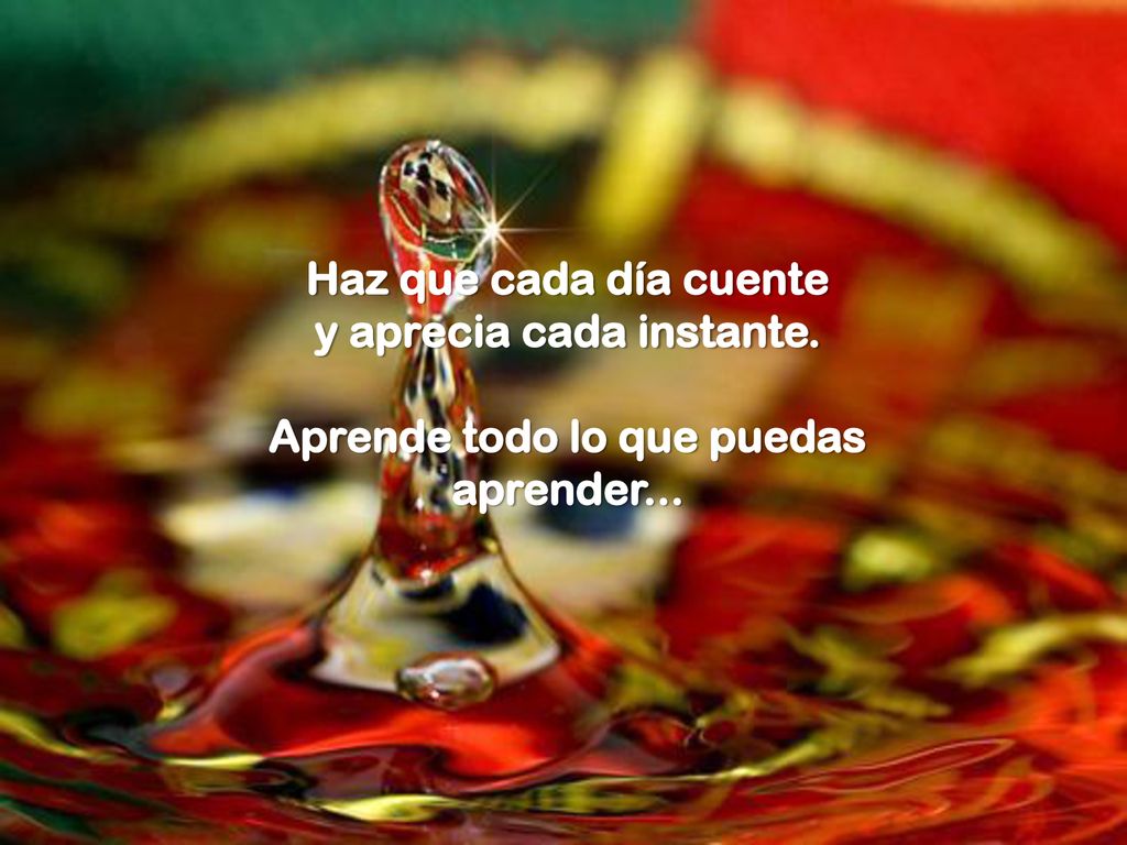 y aprecia cada instante. Aprende todo lo que puedas aprender...