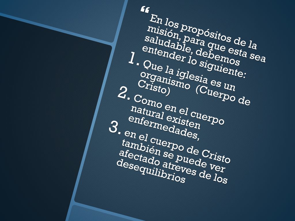 En los propósitos de la misión, para que esta sea saludable, debemos entender lo siguiente: