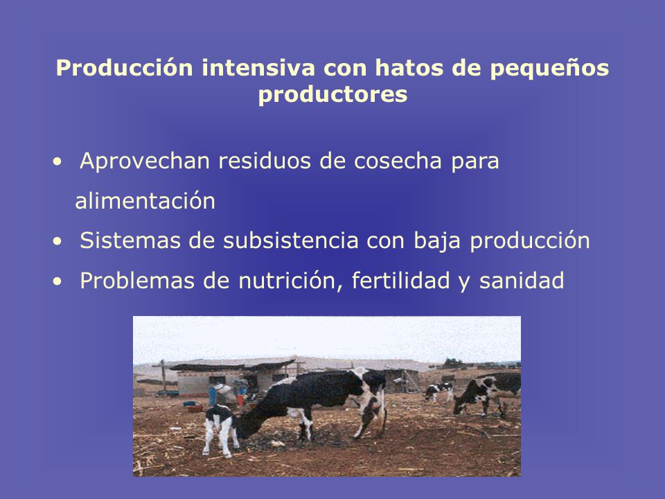 Producción intensiva con hatos de pequeños productores