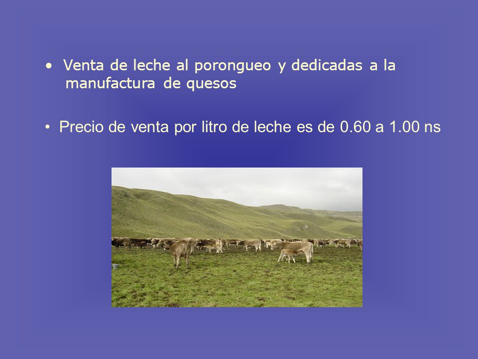 Precio de venta por litro de leche es de 0.60 a 1.00 ns