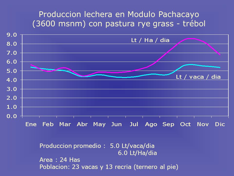 Produccion lechera en Modulo Pachacayo (3600 msnm) con pastura rye grass - trébol