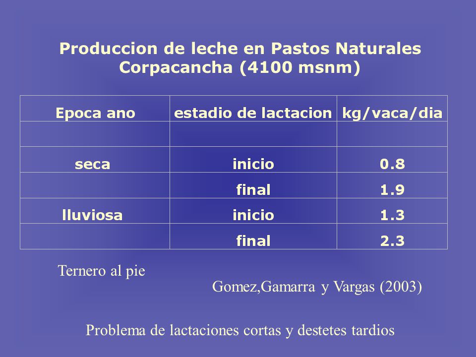 Produccion de leche en Pastos Naturales Corpacancha (4100 msnm)