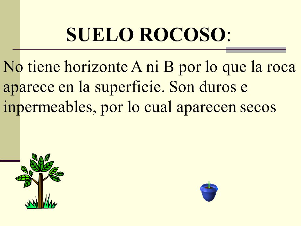 SUELO ROCOSO: No tiene horizonte A ni B por lo que la roca aparece en la superficie.