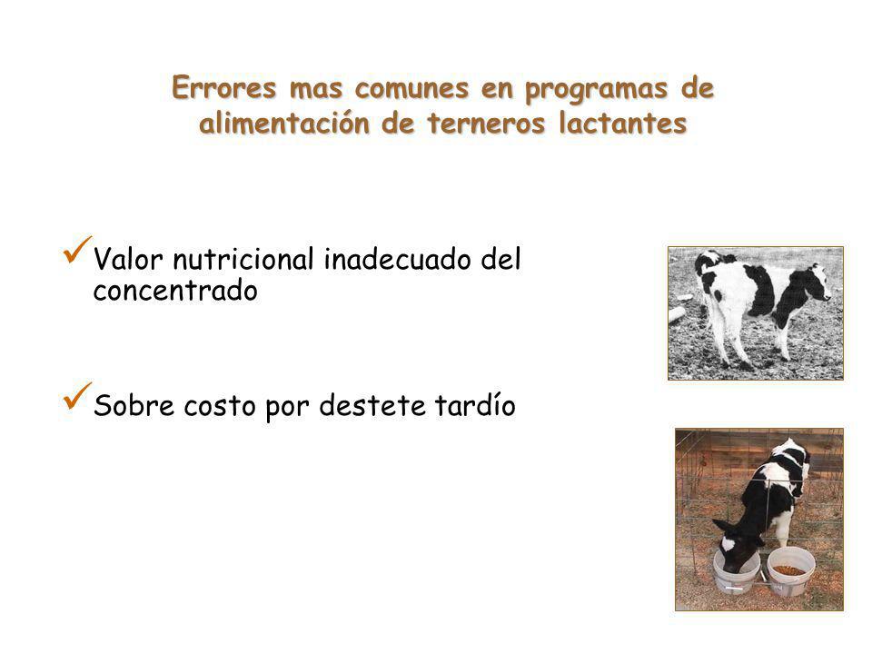 Errores mas comunes en programas de alimentación de terneros lactantes