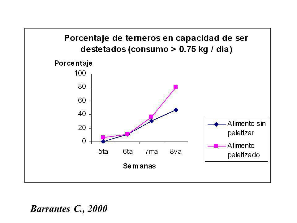 Barrantes C., 2000