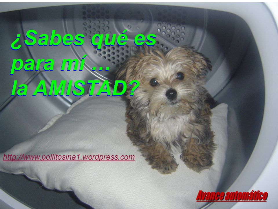 ¿Sabes qué es para mí … la AMISTAD Avance automático