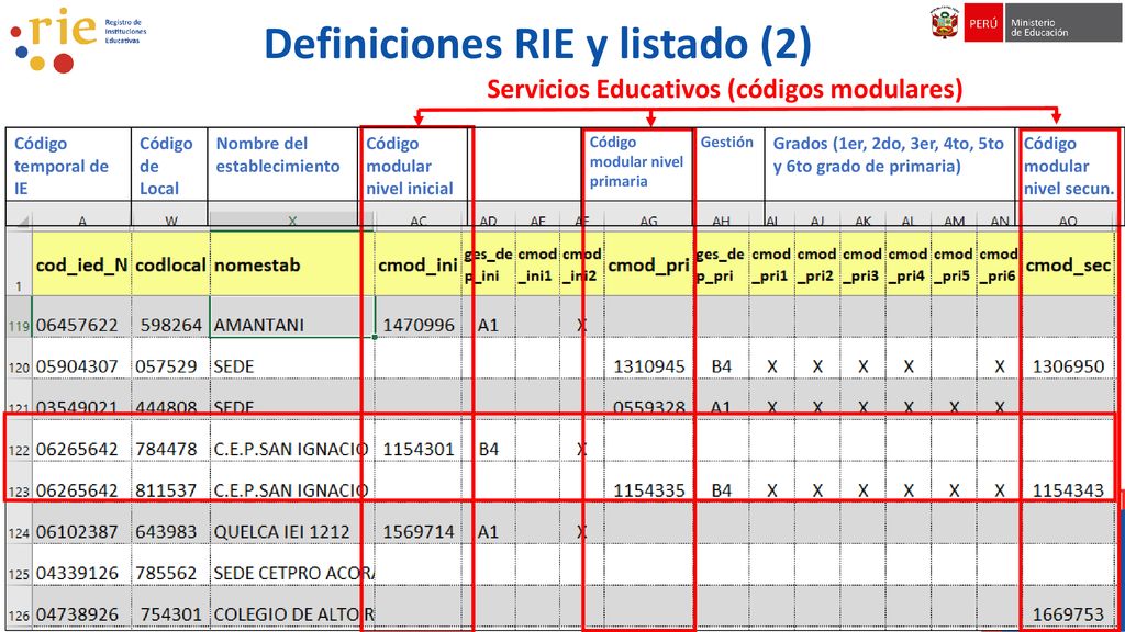 Definiciones RIE y listado (2)