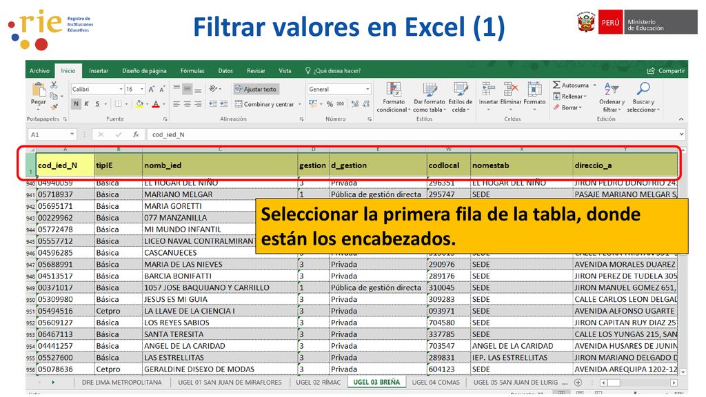 Filtrar valores en Excel (1)