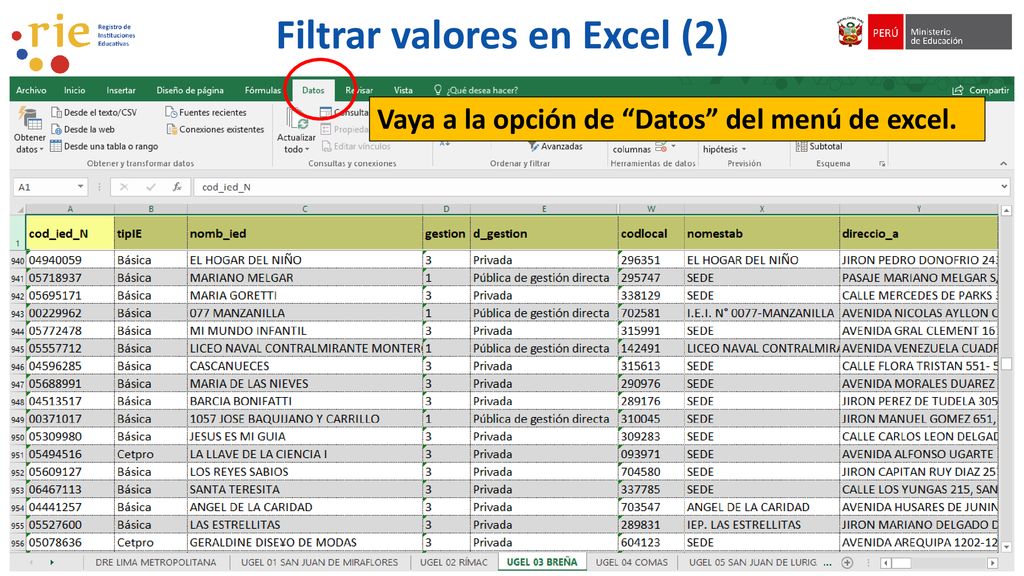 Filtrar valores en Excel (2)