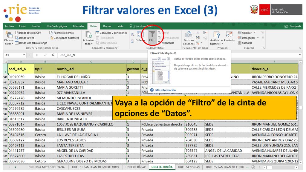 Filtrar valores en Excel (3)