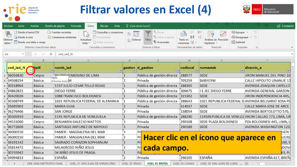 Filtrar valores en Excel (4)