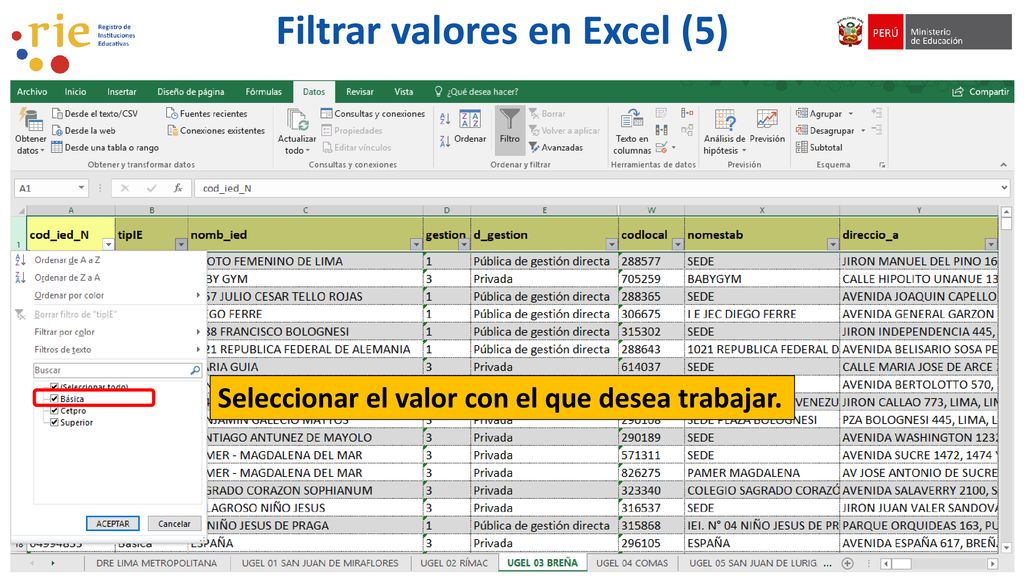 Filtrar valores en Excel (5)