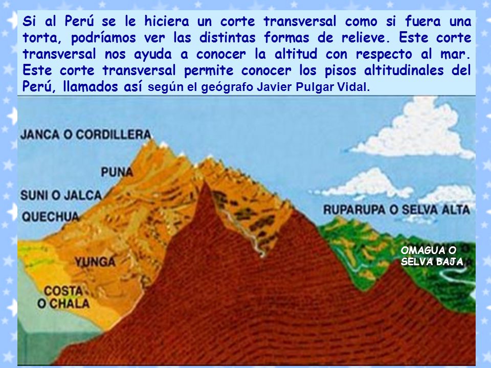 Si al Perú se le hiciera un corte transversal como si fuera una torta, podríamos ver las distintas formas de relieve. Este corte transversal nos ayuda a conocer la altitud con respecto al mar. Este corte transversal permite conocer los pisos altitudinales del Perú, llamados así según el geógrafo Javier Pulgar Vidal.