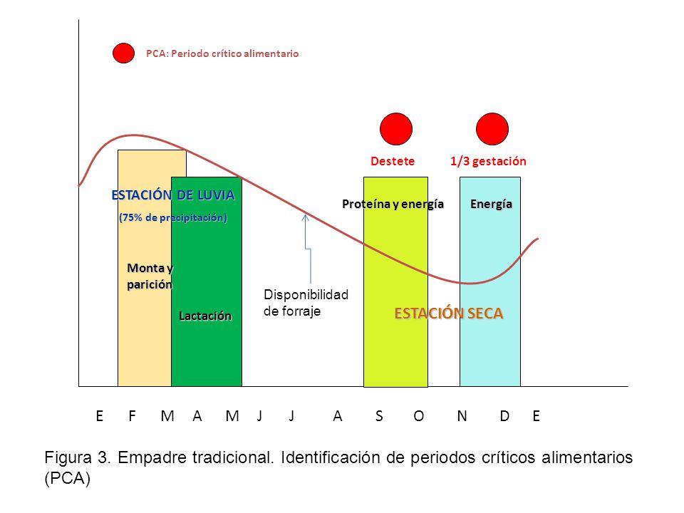ESTACIÓN SECA E F M A M J J A S O N D E