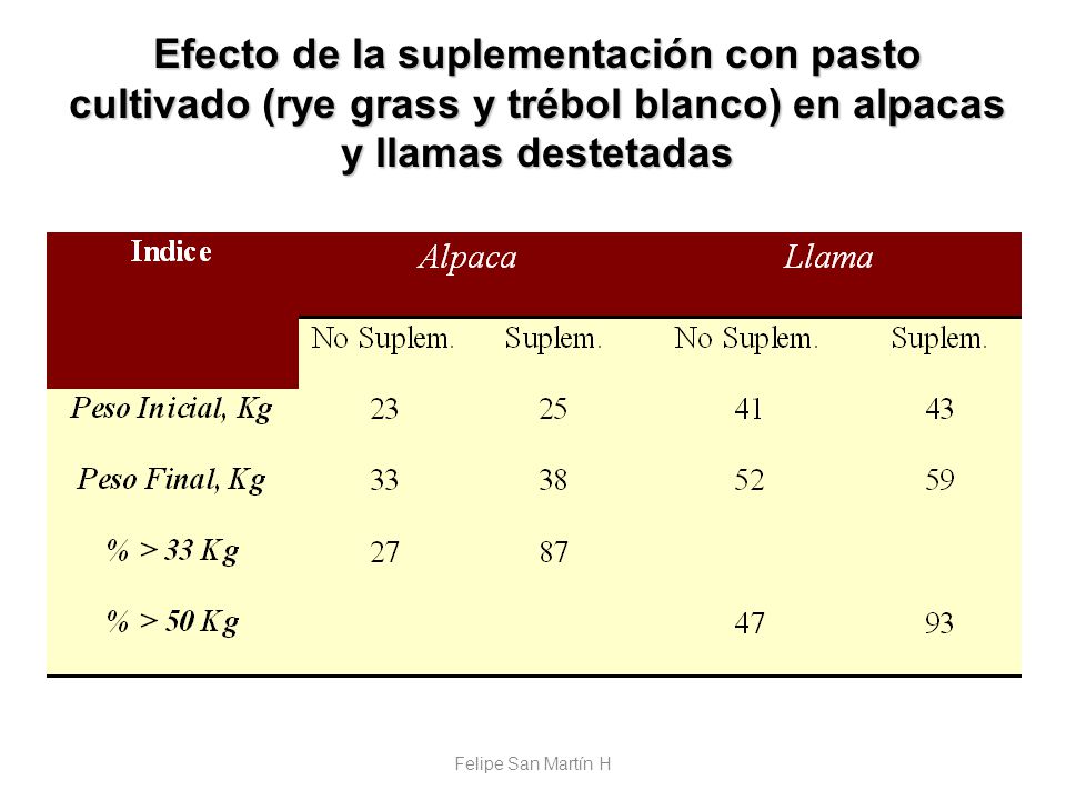 Efecto de la suplementación con pasto cultivado (rye grass y trébol blanco) en alpacas y llamas destetadas