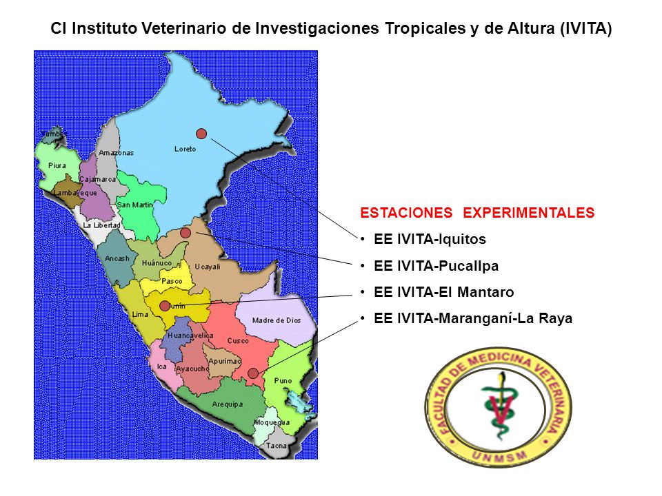 CI Instituto Veterinario de Investigaciones Tropicales y de Altura (IVITA)