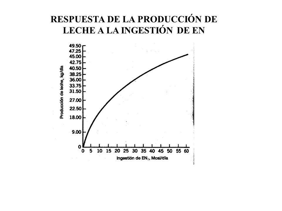 RESPUESTA DE LA PRODUCCIÓN DE LECHE A LA INGESTIÓN DE EN