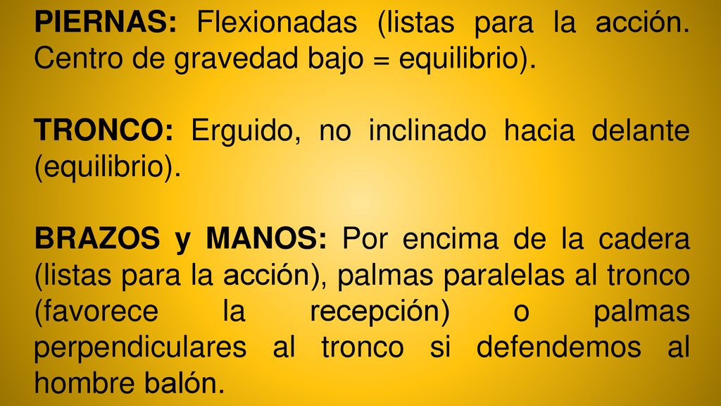 PIERNAS: Flexionadas (listas para la acción
