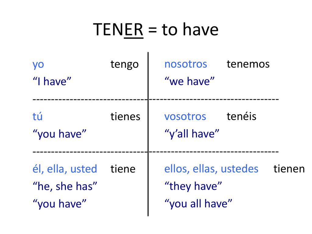TENER = to have yo tengo I have tú tienes you have él, ella, usted tiene he, she has