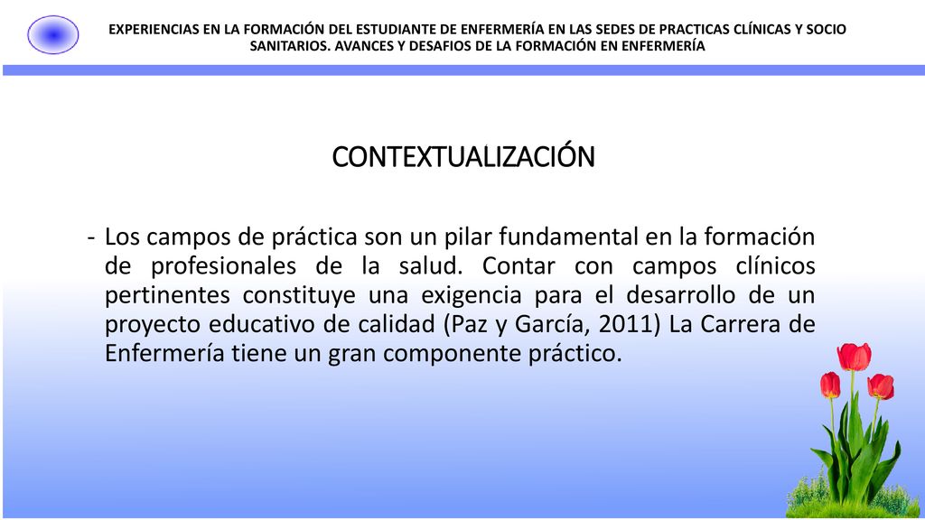 EXPERIENCIAS EN LA FORMACIÓN DEL ESTUDIANTE DE ENFERMERÍA EN LAS SEDES DE PRACTICAS CLÍNICAS Y SOCIO SANITARIOS. AVANCES Y DESAFIOS DE LA FORMACIÓN EN ENFERMERÍA