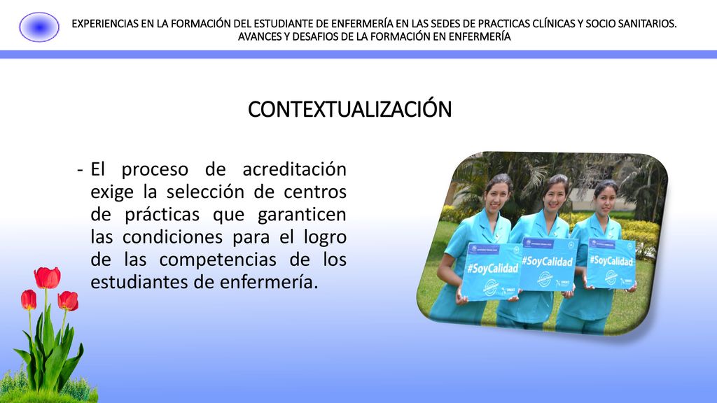 EXPERIENCIAS EN LA FORMACIÓN DEL ESTUDIANTE DE ENFERMERÍA EN LAS SEDES DE PRACTICAS CLÍNICAS Y SOCIO SANITARIOS. AVANCES Y DESAFIOS DE LA FORMACIÓN EN ENFERMERÍA