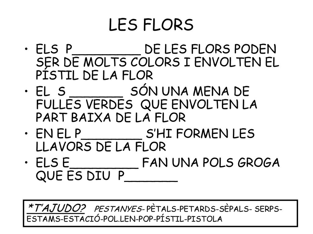 LES FLORS ELS P_________ DE LES FLORS PODEN SER DE MOLTS COLORS I ENVOLTEN EL PÍSTIL DE LA FLOR.