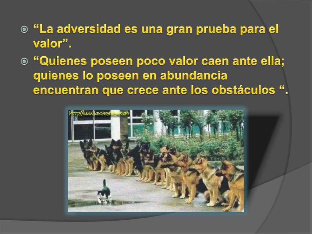 La adversidad es una gran prueba para el valor .