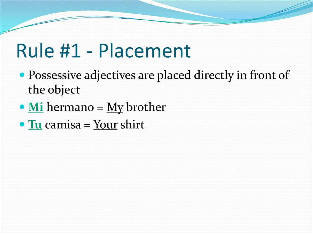 Rule #1 - Placement Possessive adjectives are placed directly in front of the object. Mi hermano = My brother.